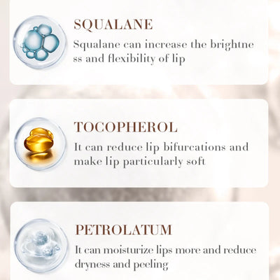 Coconut Lip Balm Lasting Nourishment and Moisture for Men and Women Daily Care Lip Balm