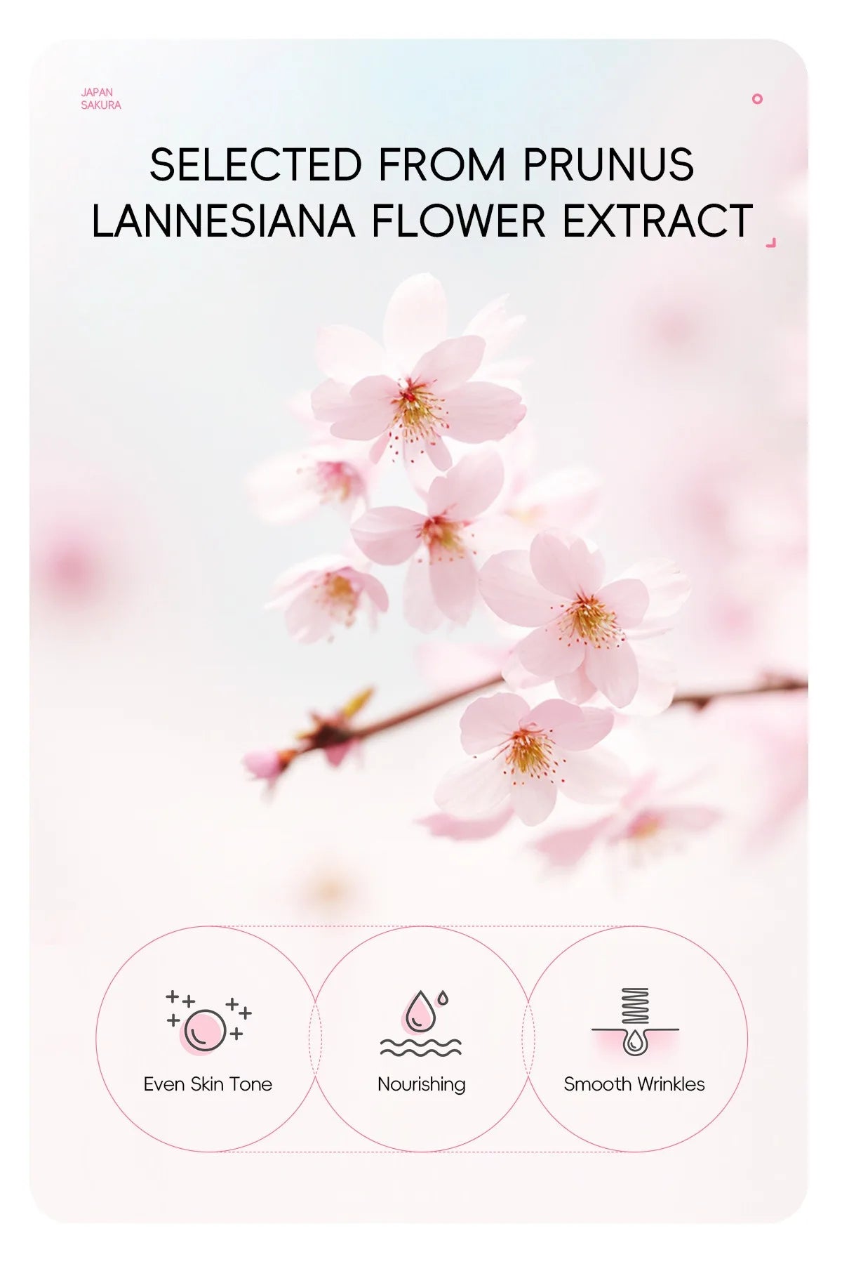 1/2count Japan Sakura Tear-Off Mask 50g Deep Cleansing Cosmetic Residues, Balance Skin Tone, Hydrate & Delicate Skin